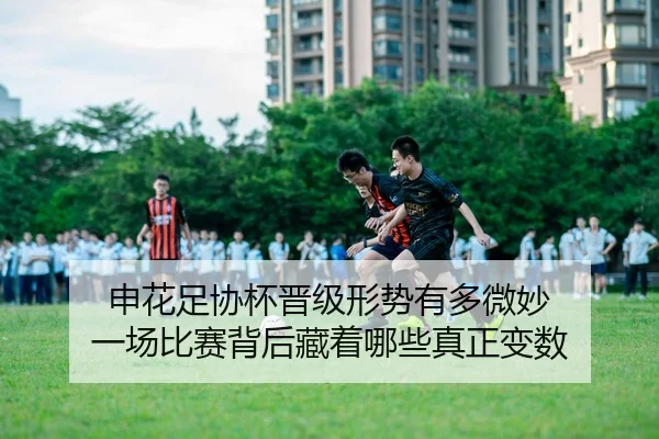 申花足协杯晋级形势有多微妙 一场比赛背后藏着哪些真正变数 | WEN DINHG YU LE
